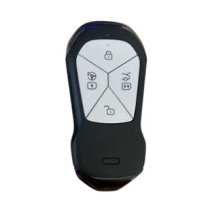 xpeng-key-g6